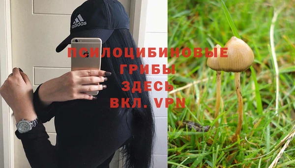 дмт Сатка