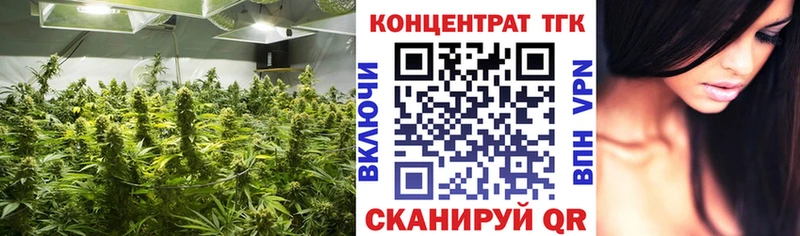 ТГК THC oil Острогожск