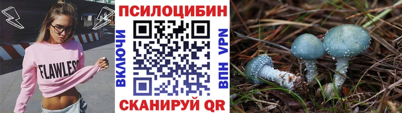 как найти наркотики Острогожск Псилоцибиновые грибы Magic Shrooms
